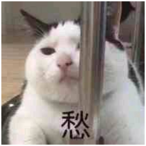 肥婆老BBB肥婆BBBBB
