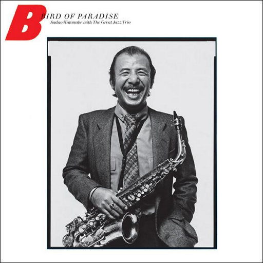 肥婆老BBB肥婆BBBBB
